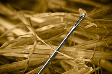 needle-in-a-haystack-380